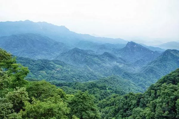 成都春季去哪里踏青 成都春季踏青好去处