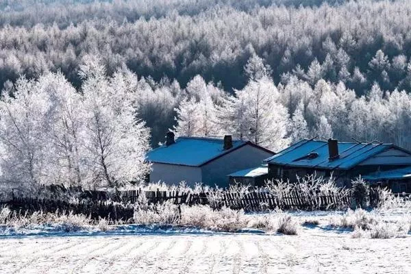 大兴安岭下雪了吗现在 冬天去大兴安岭玩什么