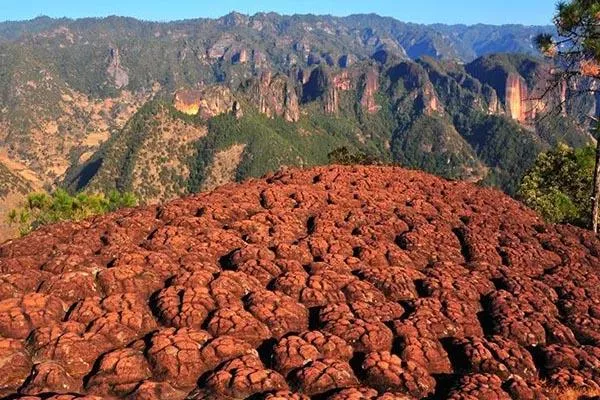 丽江老君山徒步路线 老君山徒步攻略