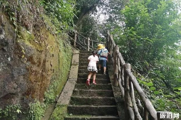 雅安三天自驾游攻略