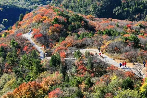 2022北京红叶最佳观赏地点推荐