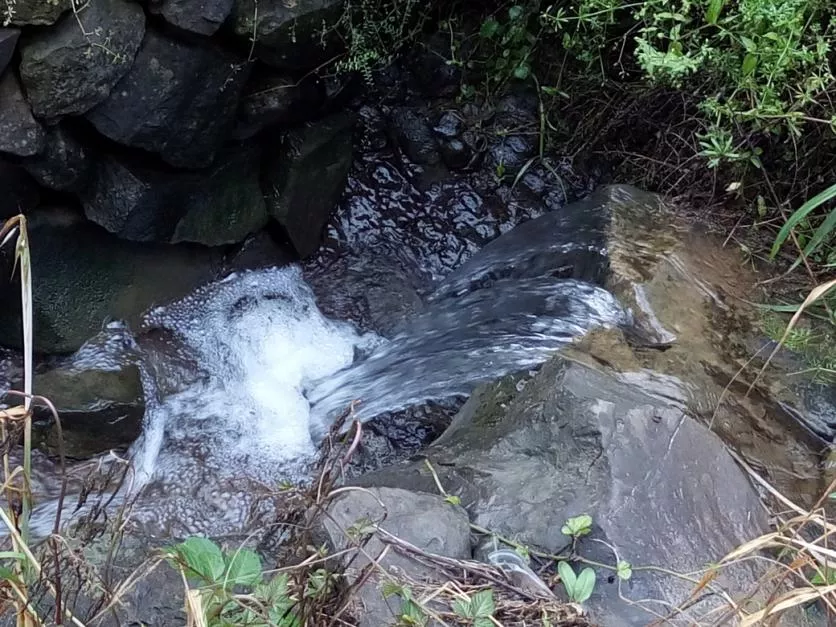 小溪流水高清美图欣赏