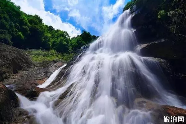 武平梁野山景区介绍 露营怎么样-交通指南