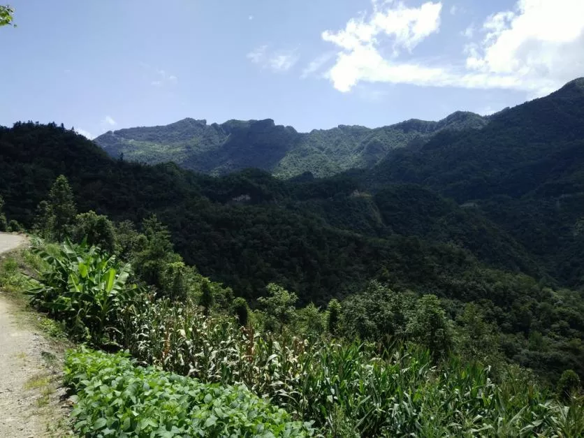 曹家坳中岭镇好玩吗