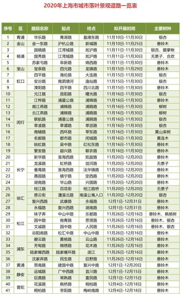 2020上海41条落叶景观道路名单一览