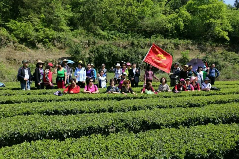 黄金洞石家坝向家村草原自助旅游攻略