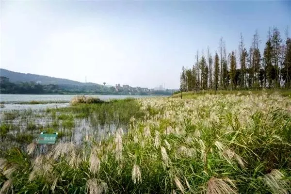 长沙踏青的好去处 长沙踏青景点推荐