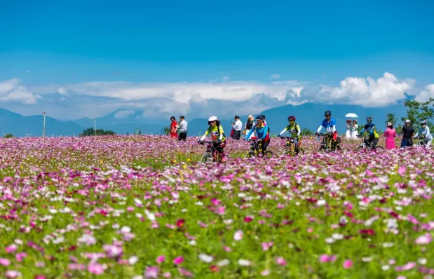 2021成都温江汪家湾花海油菜花观赏时间及游玩攻略