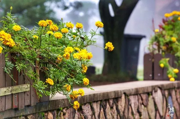 莫干山有什么好玩的 莫干山有哪些旅游景点