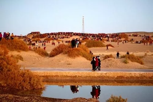 额济纳胡杨林旅游攻略