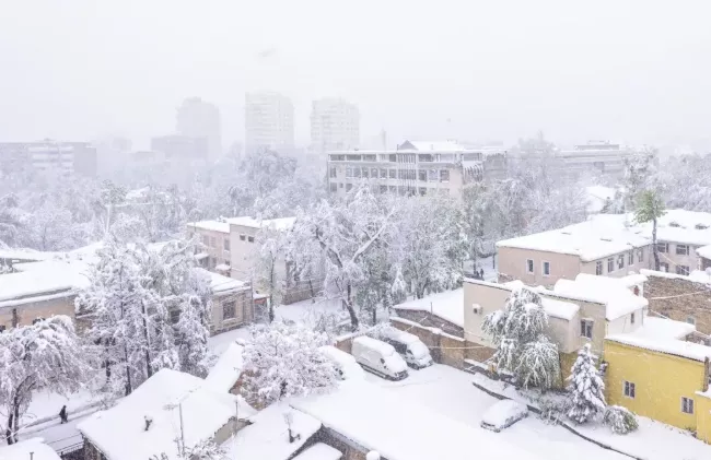 2020年沈阳什么时候下雪 沈阳今年冷吗