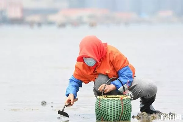 青岛海边有哪些赶海抓螃蟹的地方