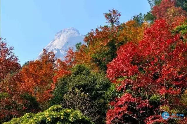 新丰云髻山红叶节最佳观赏时间+自驾路线