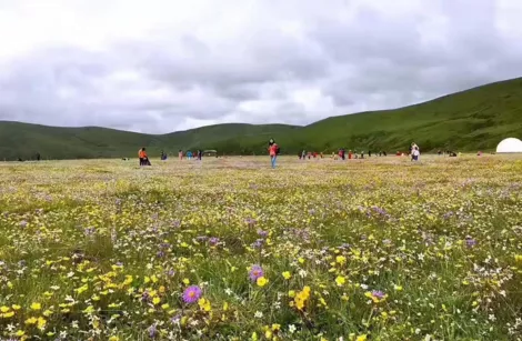 稻城亚丁在哪儿  川西康巴藏区稻城亚丁旅游攻略2017