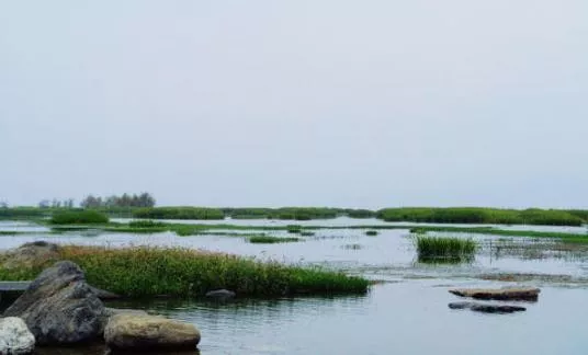 洱海自由行旅
攻略