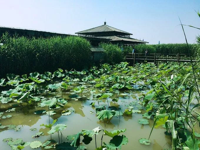 莫干山有什么好玩的 莫干山有哪些旅游景点