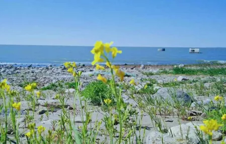 呼伦贝尔大草原在哪里  到呼伦贝尔大草原旅游要注意什么 