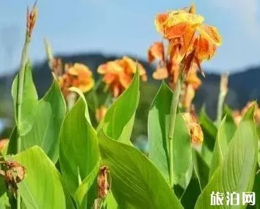 海南游玩最佳线路 海南环岛景点介绍