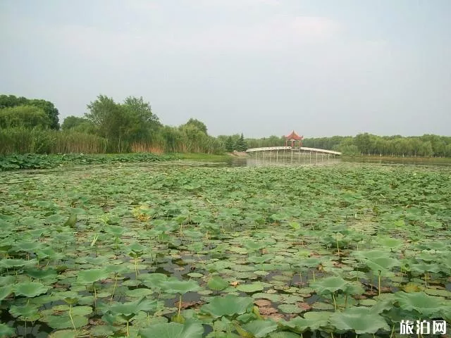 瞿家湾风景区游玩攻略