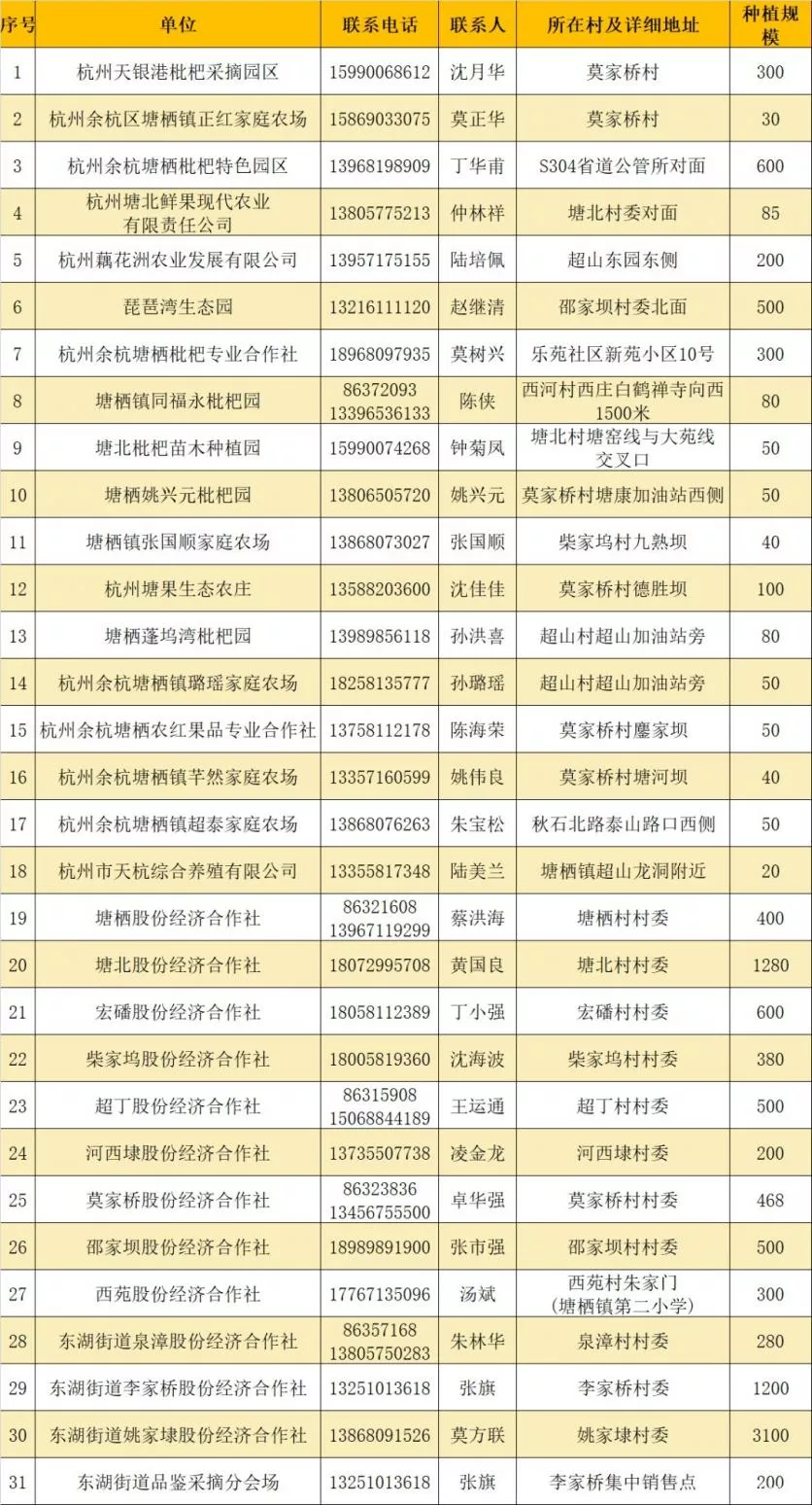 杭州塘栖枇杷园采摘基地 地址-联系方式