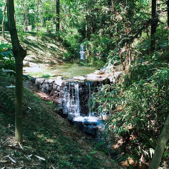 莫干山有什么好玩的 莫干山有哪些旅游景点