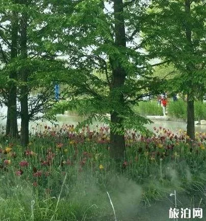 北京国际鲜花港游玩攻略 鲜花港游记