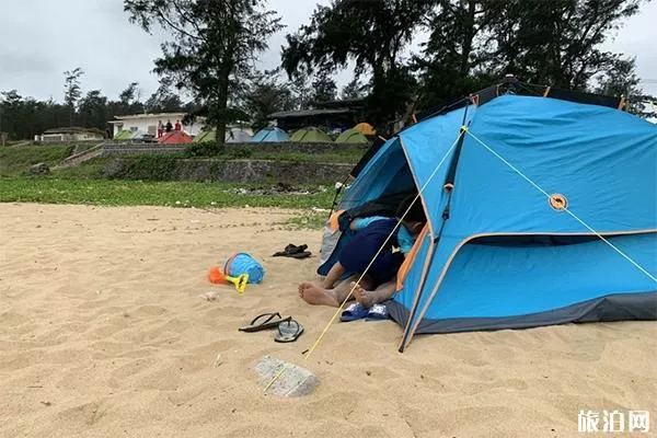 湛江硇洲岛赶海时间表 湛江硇洲岛赶海攻略