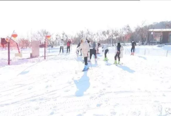 济宁滑雪场在哪里 哪个好玩