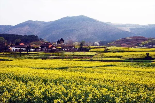 2022汉中油菜花自驾游路线 汉中油菜花最佳观赏时间