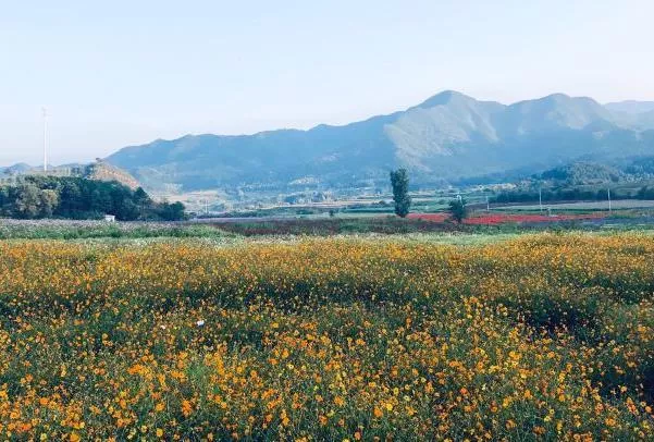 北京秋季旅游最佳去处