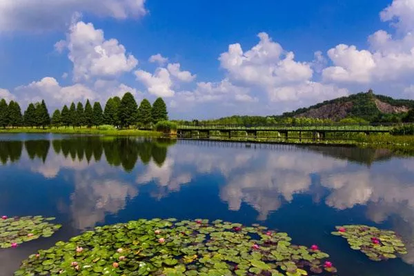 2022上海辰山植物园最新门票多少钱 附半价优惠时间及票价