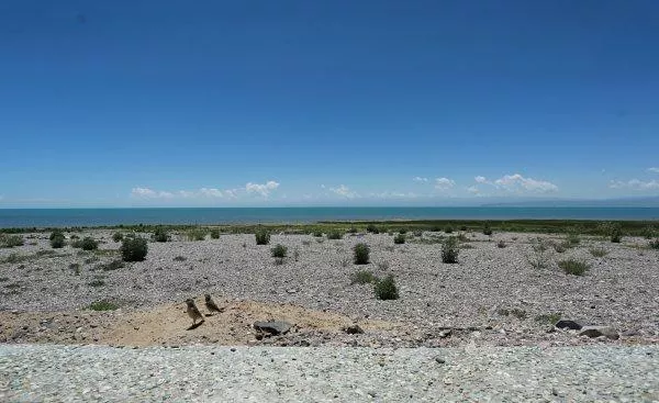 青海有什么好玩的地方 去青海要多少钱