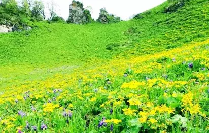 茂县九鼎山露营怎么样  茂县九鼎山门票是多少