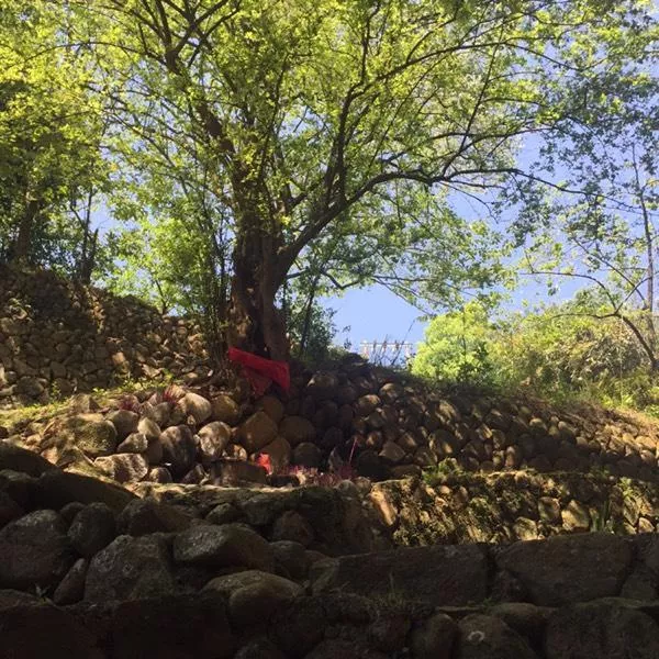 永定土楼好玩吗  永定土楼在哪儿