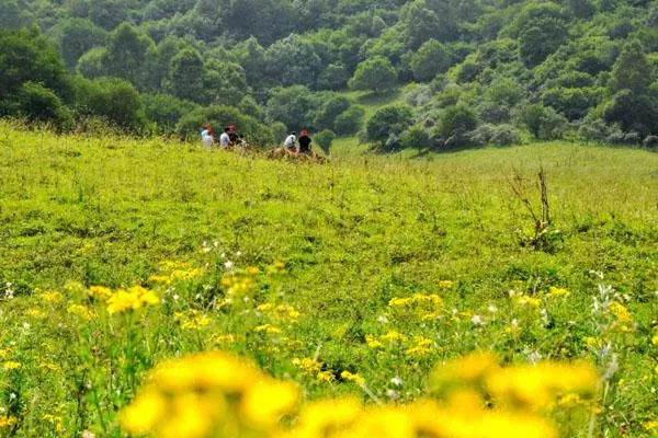 2022陕西关山牧场最新门票价格