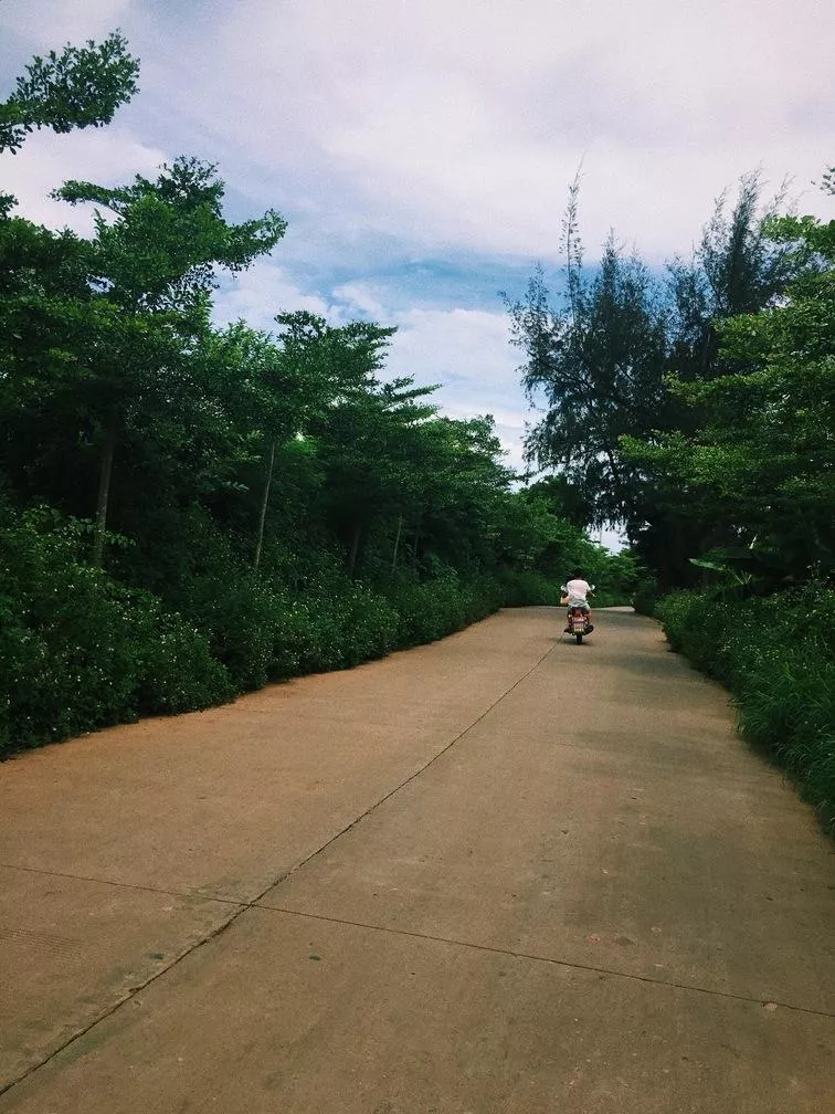 北海涠洲岛最佳旅游时间 北海涠洲岛旅游攻略