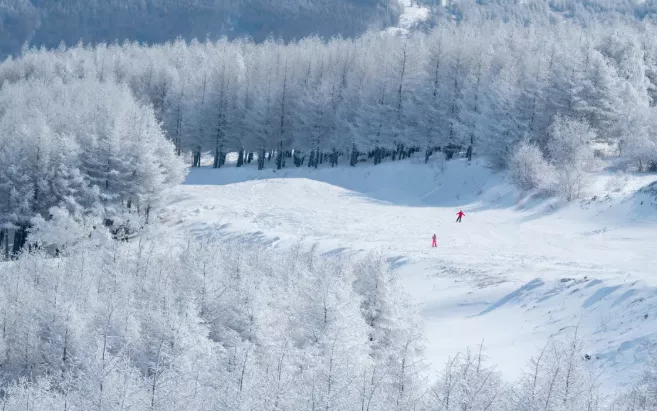 国内滑雪去哪里最好