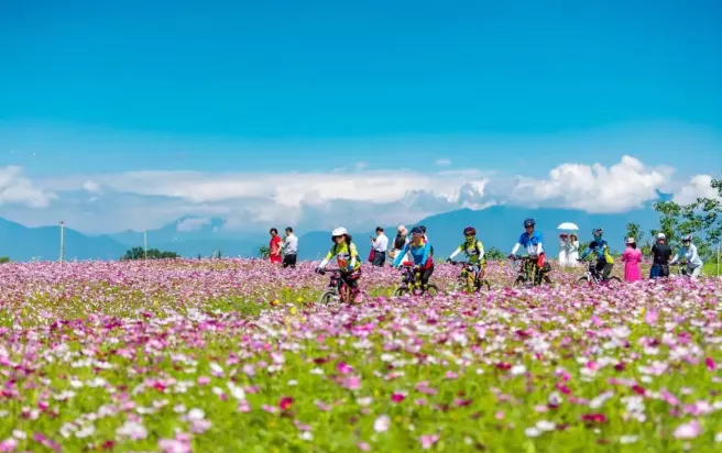 2021温江汪家湾格桑花海盛花期-旅游指南