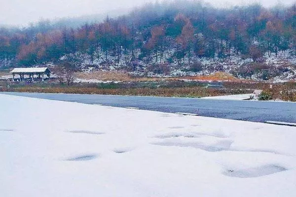 重庆冬季一日游最佳去处推荐