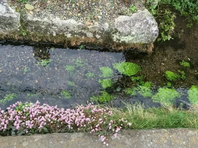 日
本琵琶湖有什么好玩的 琵琶湖有哪些景点