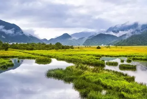 神龙架在哪儿  神龙架夏季平均气温是多少度