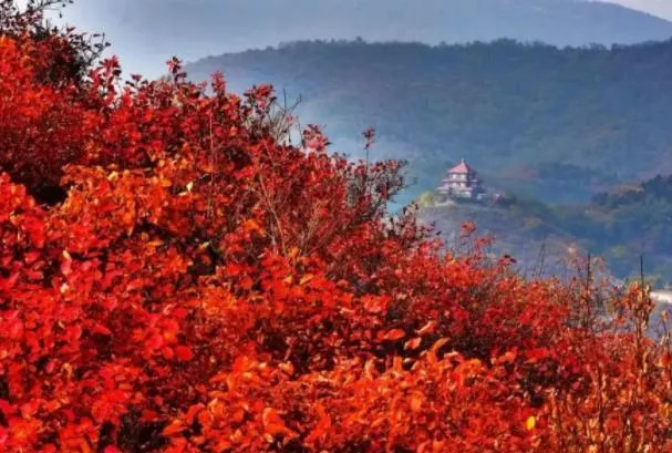 北京秋季旅游最佳去处