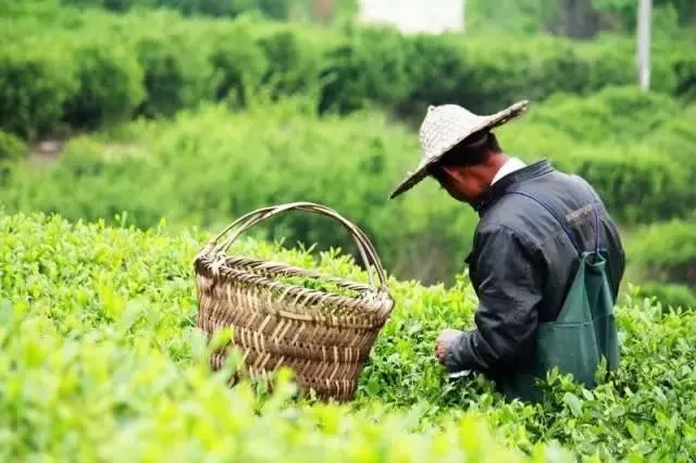 2018清明节从深圳坐高铁去哪些景点玩比较好