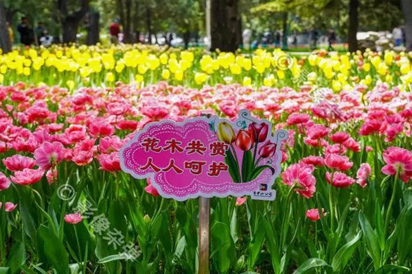 北京植物园赏花攻略2022