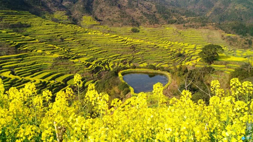 婺源篁岭景区旅游攻略