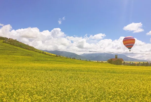 青海油菜花几月开花?最佳拍摄点在哪?