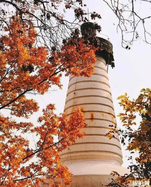 2020北京春节各大寺庙祈福求什么最灵