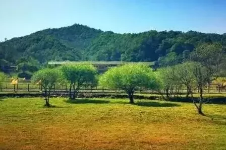 陕西宝鸡大水川怎么样  陕西宝鸡大水川的景色好看吗