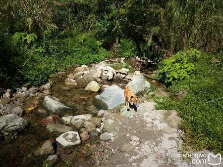 皮纳图博火山自由行攻略 皮纳图博火山探险