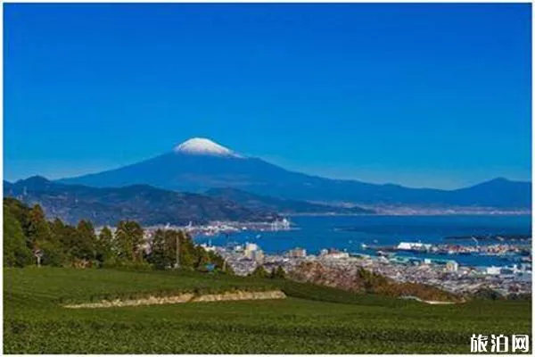 上海直飞日本哪几个机场